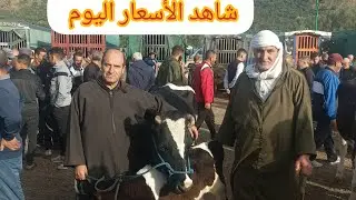 سوق الأبقار تمالوس سكيكدة