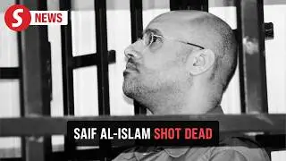 Muammar Gaddafi's son killed in Libya