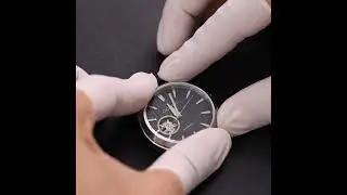The Argyle Automatic