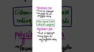 #monocistronicrna #polycistronicrna #cistron #biologyshort #shorts