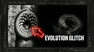 LAMPREY & HAGFISH: EVOLUTION&rsquo;S STRANGEST SURVIVORS