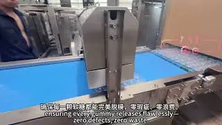 Small/Middle/Large Gummy/candy/sugar depositor