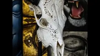 Bull Skull Art for the Man Who Has Everything - Bull Carvings