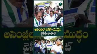 పారిపోయారా? నిరసన తెలిపారా? అసెంబ్లీ నుంచి వైసీపీ వాకౌట్ | Oneindia Telugu