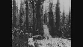 Slender man sound effect