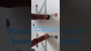 # braingym#bilateralstimulation #braingymactivities #braindevelopmentactivity #brainoptimization
