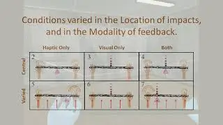 Perception and Presence in a Virtual Environment - Janet Gibbs