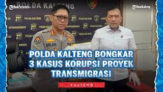 Polda Kalteng Bongkar 3 Kasus Korupsi Proyek Transmigrasi di Kapuas, Kerugian Negara Tembus Rp 11 M