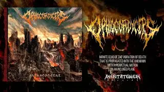 OPHIOCORDYCEPS - INFINITE ECHO OF THE VIBRATION OF DEATH THAT IS... [SINGLE] (2022) SW EXCLUSIVE