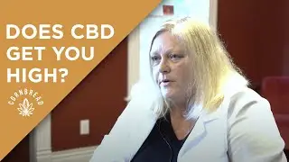 Does CBD Get You High? | Dr. Leslie's Lab