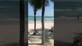 Danang Beach 15.01.2026   Da Nang  Beautiful weather