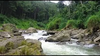 Sleep Better Tonight 😴 Clear Mountain Stream | Peaceful Relaxation