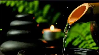 Wonderfull: Deep Mind Healing 🌿 Bamboo Water Sounds & Relaxing Music for Insomnia