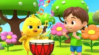 Why Is Baby Chick Tapping the Drum | Nursery Rhymes for Kids & Baby Songs