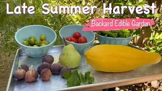 Late Summer Fruit and Vegetable Harvest
