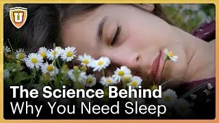 Sleep and Stress!  What's the Science Behind It? | CuriosityU