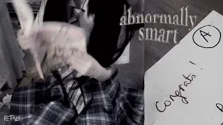 (2x MAX) ⚠️ AБNORMALLY smart ☆ ace all exams effortlessly [experimental]
