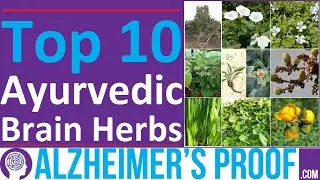 Alzheimer's Herbs [Part 1]: Ayurvedic Top 10: Brain Health & Dementia