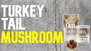 TURKEY TAIL MUSHROOM| Om| COVID ?|