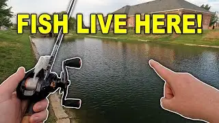 Bass Fishing Urban Canals! (BFS Fall Bass Fishing)