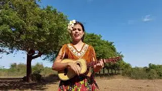 Trío Mezquite - El Toro Requesón