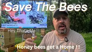 Saving a Colony of Honeybees! !