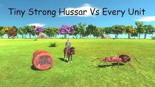 Tiny Strong Hussar Vs Every Unit ARBS |Animal Revolt Battle Simulator