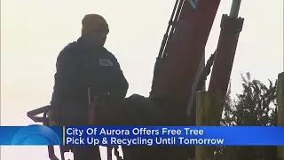 City Offers Free Christmas Tree Pickup, Recycling Until Friday
