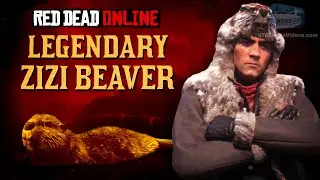 Red Dead Online - Legendary Zizi Beaver Location [Animal Field Guide]