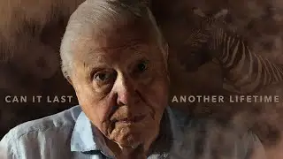 Planet Earth | Storytelling in Nature Documentaries (Video Essay)
