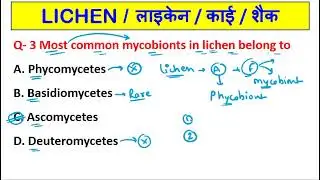 Lichen Biology MCQ | TGT PGT LT GIC Biology | Lichen Practice Set Biology #lichen #biology #classes