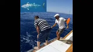 Fishing during the National Angling Championship Ethical Angling -Hurghada - Egypt May 2021