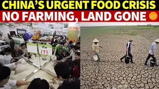 China&rsquo;s Urgent Food Crisis: No One Farms, Farmland Gone, Frequent Disasters, High Import Reliance