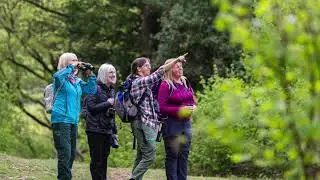 Eco Escapes NaturesGems Tours