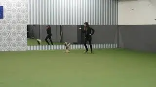 Eddie freestyle klass 1 Göteborg