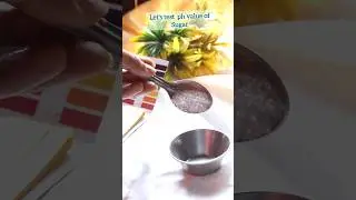 Let's Test Ph value of Sugar| Can you guess 🤔 #youtubeshorts