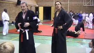 семинар, джиу джитсу, боевые искусства/ ju jitsu