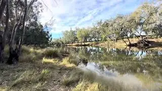 A Walk Along the Condamine River 