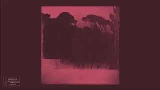 Vlimmer - Rasenstarre