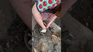 Forest School 🌿 #nature #forestschool #unschooling #wildschooling #natureschooling #outdoorlearning