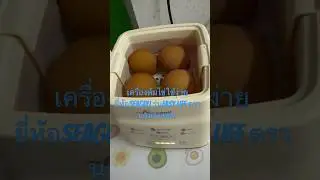 The Seagull Easy Life egg cooker, a Seagull brand appliance, meets Thai Industrial Standards (TIS).