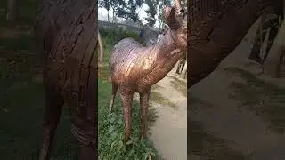 #updarshan park#lucknow #UPDarshanPark#trendingshorts #nadaniya #travel