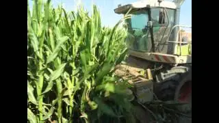AgriNico. Agricoltura per passione