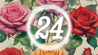 Born on the 24th? What Your Birthday Says About Your Soul #numerology #birthdatenumerology