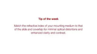Imaging made easy - EVOS Tip #5