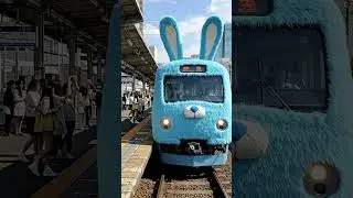 bunny themed Train 🎀 Would you like to ride #train​ #travel #bunny #cute​ #funny