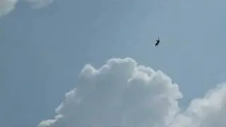 P1020522