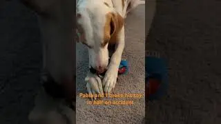 Broke his toy