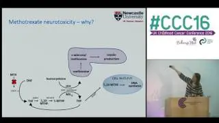 Survivorship research