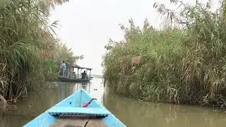 Magical entry into the wetlands in county boats